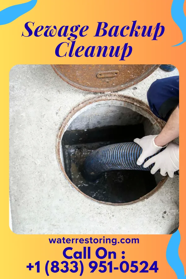 Sewage Backup Cleanup in Russellville, MO
