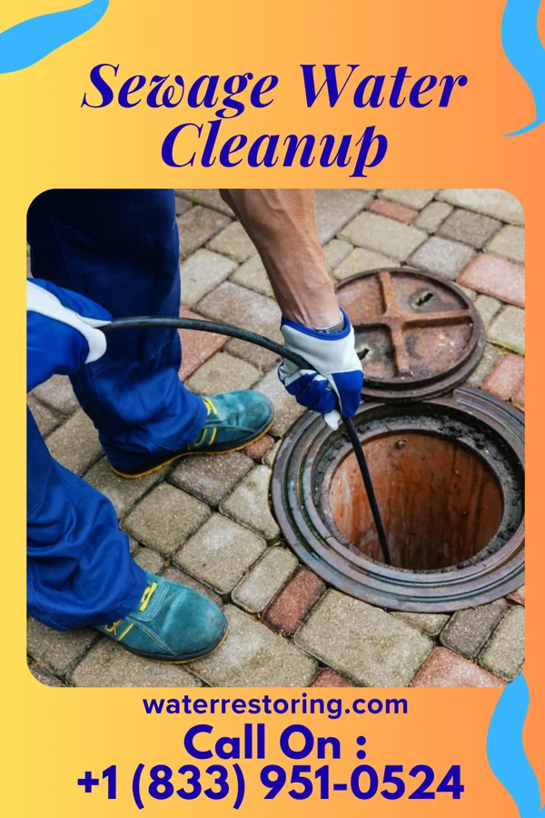 Sewage Water Cleanup in Russellville, MO