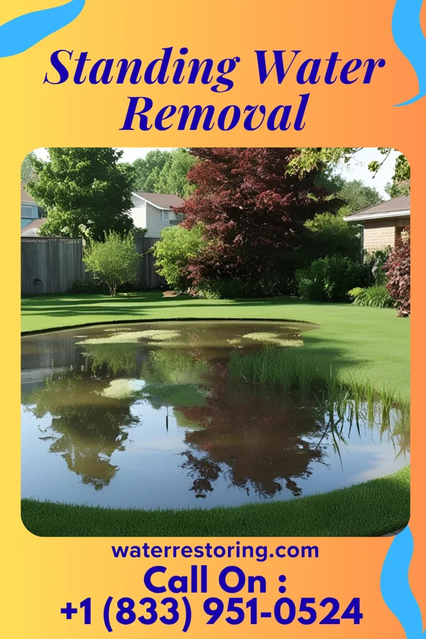 Standing Water Removal in Russellville, MO